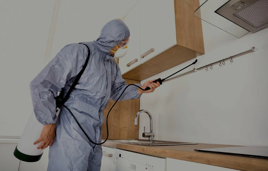 Patterson pest managment
